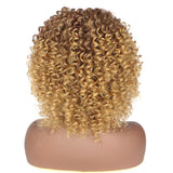 1 x RAW Customer Returns PORSMEER Curly Afro Wig Brown Blonde Natural Synthetic Hair with Bangs for Women Shoulder Length Curly Kinky Bob Wig Volume for Black Women, 14 inches - RRP €23.18