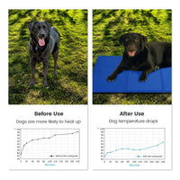 6 x Brand New Lauva Cooling Mat for Dogs, Dog Cooling Mat Cooling Mat for Dogs Cats Pet Ice Mat Self-Cooling Mat Dogs Cooling Dog Blanket Cold Gel Pad Pet Mat for Dog Kennels Beds - RRP €167.46