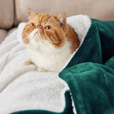 1 x RAW Customer Returns BEDSURE Blanket Sofa Cuddly Blanket Green - Warm Sherpa Sofa Throw Blanket Large Thick Sofa Blanket Couch Blanket 220 x 240 cm XXL Blanket for Couch - RRP €32.26