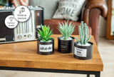 1 x RAW Customer Returns ODEZZA Artificial Plants in Pot 10x16cm Black - Set of 3 Decorative Succulents Artificial Small Modern - Artificial Plant Set for Decorating Living Room Bathroom Kitchen Balcony - Mini Artificial Plants - RRP €25.16