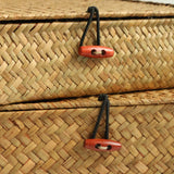 1 x RAW Customer Returns FEILANDUO Shelf Baskets with Lids, Wicker Baskets for Shelves Organization Natural Seagrass Rattan Woven Organizer Boxes Boho Home Decor Set of 2 Natural  - RRP €26.99