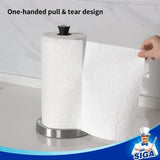 1 x RAW Customer Returns MR.SIGA Kitchen Roll Holder Stainless Steel Kitchen Roll Standing Holder Kitchen Paper Holder for Kitchen, Black - RRP €23.27