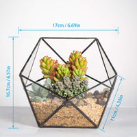 1 x RAW Customer Returns NCYP Modern Glass Geometric Plant Terrarium, Handmade Half Ball Shape Flower Pot, Clear Windowsill Centerpiece Decor Succulent Planter No Plants Included  - RRP €30.94