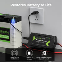 1 x RAW Customer Returns RoyPow LiFePO4 charger 12V lithium battery charger, 10A trickle charger battery maintenance device, charger for LiFePO4 lithium battery Euro plug - RRP €56.99