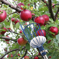 1 x RAW Customer Returns MaidMAX fruit picker with telescopic handle made of stainless steel 4 meters, apple picker with joint and foam pad, gripper with basket for fruit apple orange, light, stable and space-saving - RRP €32.86