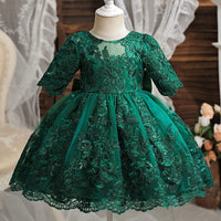 1 x RAW Customer Returns TTYAOVO Baby Girls Floral Lace Pageant Princess Party Meeting Tutu Dress Size 100 2-3 Years,2031 Green  - RRP €31.24