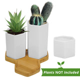 1 x RAW Customer Returns BELLE VOUS White Small Flower Pots for Succulents with Bamboo Tray 3-Pack Small, Medium Large Planter Set with Drainage Holes - for Office, Indoor Table Outdoor Garden - RRP €21.26