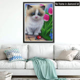 2 x Brand New Showker 5D Diamond Painting Pictures Cat Kitten Animals, DIY Diamond Painting Pictures Accessories Round Diamond Cross Stitch Embroidery Decoration Bedroom Office Home Mural 30x40cm - RRP €40.8