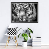 1 x Brand New Hoobee 5D Diamond Painting Tiger, Diamond Painting Pictures Animal, Diamond Painting Adults, Full Drill Embroidery Cross Stitch Art Craft for Home Wall Decoration 30 40 cm  - RRP €10.02