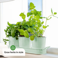 1 x RAW Customer Returns LeafImpact Herb Pots for Houseplants with Tray Grow Fresh Herbs at Home Herb Garden Kitchen Herb Pot Kitchen Indoor Plant Growing Pots for Basil, Mint, Parsley - RRP €17.7