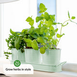 1 x RAW Customer Returns LeafImpact Herb Pots for Houseplants with Tray Grow Fresh Herbs at Home Herb Garden Kitchen Herb Pot Kitchen Indoor Plant Growing Pots for Basil, Mint, Parsley - RRP €17.7