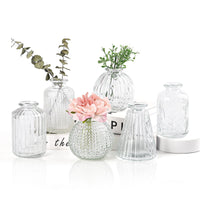 1 x RAW Customer Returns Vases Small Glass EylKoi - Vases Small Table Decoration 6 Pieces Set Clear Various Shapes, Vases Wedding, Table Decoration Mini Small For Table Decoration Small Vases For Home, Events Table, 1 2  - RRP €20.16