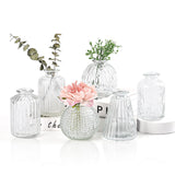 1 x RAW Customer Returns Vases Small Glass EylKoi - Vases Small Table Decoration 6 Pieces Set Clear Various Shapes, Vases Wedding, Table Decoration Mini Small For Table Decoration Small Vases For Home, Events Table, 1 2  - RRP €20.16