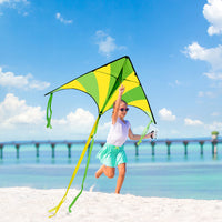 1 x RAW Customer Returns JOYIN 2 Packs Large Delta Kite Green and Rainbow Kites Easy to Fly Giant Kites for Kids and Adults with 262.5 ft Kite Line - RRP €22.61