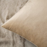 1 x Brand New MIULEE Velvet Decorative Throw Pillow Cover Sofa Home Decor Pillowcase Super Soft Home Decoration Living Room Bedroom for Sofa Bed 30 x 50 cm 12 x20 1 Piece Dark Beige - RRP €19.2