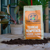 1 x RAW Customer Returns TERRE D AUGUSTE - Potting soil 6L with resealable zipper - Specific solution for potted plants - plant soil for houseplants palms - indoor green plant fertilizer - RRP €26.4