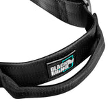 1 x Brand New Black Rhino - Tactical Dog Collar, Ultra Soft Neoprene Padded for Medium and Large Dogs Heavy Duty Metal Buckle Padded Handle for Dog Training XL, Aqua  - RRP €20.92