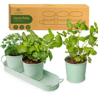 1 x RAW Customer Returns LeafImpact Herb Pots for Houseplants with Tray Grow Fresh Herbs at Home Herb Garden Kitchen Herb Pot Kitchen Indoor Plant Growing Pots for Basil, Mint, Parsley - RRP €17.7