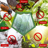 1 x RAW Customer Returns Insect Protection Netting 2.5 x 10m Garden Fine Mesh Plant Netting Vegetable Netting Garden Plant Netting Vegetable Garden - RRP €22.8