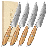 1 x RAW Customer Returns HEZHEN Damascus steak knife set, 73 layers of Damascus steel steak knife without serrated edge, table knife, full tang wooden handle - RRP €231.92