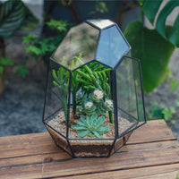 1 x RAW Customer Returns NCYP 25cm Hand-Enclosed Geometric Terrarium with Door, Tall Irregular Black Glass Vase, Succulent Cactus Flower Pot, Home Garden Decor Plants Not Included  - RRP €54.23