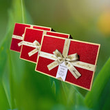 1 x RAW Customer Returns Red glittering gift box, set of 3 rectangular gift boxes with gold bow - packaging box suitable for flowers, gifts of all kinds, for lovers, children, seniors, friends red  - RRP €20.33