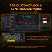 1 x RAW Customer Returns Akko 3068B Plus RGB Mechanical Gaming Keyboard, ISO DE Layout, 3 Modes BT5.0 2.4Ghz Type C Compact Mini Keyboard with Hotswap, Cherry PBT Keys, Programmable Black Gold, Linear Switch  - RRP €99.42