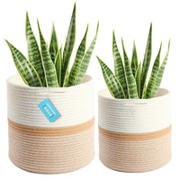 1 x RAW Customer Returns OrganiHaus Woven Plant Pot Basket 2 Pack - Indoor Boho Basket Plant - Cotton Rope Pot Covers - Plant Pot Basket Off-White Honing - 25cm and 30cm  - RRP €27.22