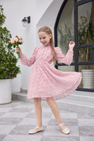 1 x RAW Customer Returns Arshiner Dresses Girls Elegant Ruffle Collar Casual Dress Long Sleeve Dress Party Dress Festive Wedding A-line Casual Dress for Girls Pink 160 - RRP €28.09