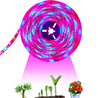 1 x RAW Customer Returns Tesfish LED Plant Grow Strip Light DC 12V IP65 Waterproof Full Spectrum SMD 5050 Red Blue 3 1 String Light for Aquarium Greenhouse Plants - RRP €18.99