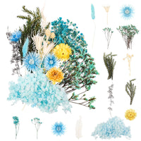 1 x RAW Customer Returns Bohoman Bouquet Dried Flowers Natural Real Pressed Flowers Decoration for Craft Epoxy Resin Jewelry Flowers Nail Art DIY Candle Craft Scrapbooking Blue  - RRP €20.4