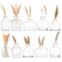 1 x RAW Customer Returns Winter Shore Small Glass Vases for Table Decoration 10-Pack - Assorted Clear Mini Vases for Flowers - Small Vases for Table Decoration Vintage - Square, Rectangular, Round, Low Tall Shape - RRP €20.33