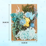 1 x RAW Customer Returns Bohoman Bouquet Dried Flowers Natural Real Pressed Flowers Decoration for Craft Epoxy Resin Jewelry Flowers Nail Art DIY Candle Craft Scrapbooking Blue  - RRP €20.4