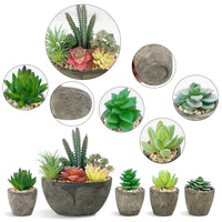 2 x RAW Customer Returns Vasemouh Artificial Plants Succulents Set of 5, Realistic Imitation Succulent Plant Pots for Home Office Desk Decoration - RRP €44.98