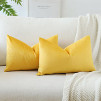 1 x RAW Customer Returns JOTOM velvet cushion cover, sofa cushion, decorative cushion, cushion covers for sofa, living room, bedroom, set of 2, 40 x 60 cm, yellow - RRP €14.11