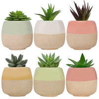 1 x RAW Customer Returns BELLE VOUS Mini Ceramic Flower Pot Pack of 6 - L6 x H5.5 cm Small Flower Pots Cactus Pot with Drain Hole for Home, Office, Indoor, Outdoor, Garden - Decorative Succulent Pot Cactus Pot Planter Small - RRP €18.47