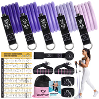 1 x RAW Customer Returns Resistance Bands Resistance Bands Set, 5 Fitness Bands Expander Tube Bands, Fitness Band with Large Handle Ankle Strap Door Anchor Attachment Carry Bag, Ideal for Pilates Strength Training Physiotherapy - RRP €30.1