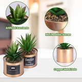 1 x RAW Customer Returns BELLE VOUS 3pcs Artificial Plants Mini Artificial Plants in Pot Green Copper - 10 x 7.5cm Succulent Artificial Cactus in Pot Set as Living Room Decoration, Office Decoration, Bathroom Decoration, Plant Decoration - RRP €35.03