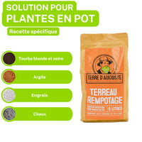 1 x RAW Customer Returns TERRE D AUGUSTE - Potting soil 6L with resealable zipper - Specific solution for potted plants - plant soil for houseplants palms - indoor green plant fertilizer - RRP €26.4