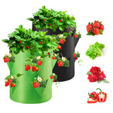 7 x Brand New Homealexa 2 Pcs Strawberry Planting Bags, 40L 10 Gallon Plant Sack with Handle and Side Pockets, for Growing Planting Vegetables Flowers Strawberries at Home Garden Balcony - RRP €91.7