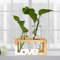 1 x RAW Customer Returns Hydroponics Glass Planter Glass Flower Vase with Stand Wooden Hydroponic Tabletop Decoration Modern Test Tubes - RRP €15.62