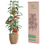 1 x RAW Customer Returns Pack of 2 tomato and cucumber trellises Adjustable trellises for tomatoes Tomato trellises Tomato trellises Tomato stakes Tomato columns Flowers plants - RRP €26.1