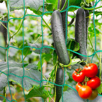 1 x RAW Customer Returns Premium climbing net 2.5 x 2m with 30 plant clips, climbing aids for the perfect growth of tomatoes, cucumbers and climbing plants. The optimal climbing aid net for garden and greenhouse, mesh width 10cm  - RRP €9.06