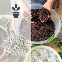 1 x RAW Customer Returns Kalapanta - Natural expanded volcanic rock perlite for gardening, houseplants, 2 liters. Improves drainage and prevents water stagnation in the substrate. Single pack 1 piece  - RRP €14.9