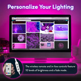 9 x Brand New Luminoodle USB LED background lighting for TV in color, 15 colors, RGB LED bias lighting for HDTV, TV screen and PC monitor, LED strip self-adhesive 4 meters  - RRP €153.45