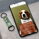 51 x Brand New DISONTAG QR Code Silent Dog Tag ID 18 Dog Breeds Personalized Social Online Page-Free Online Pet Profile-Modifiable-Privacy Control-No APP Required - RRP €856.8