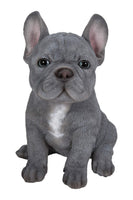 1 x RAW Customer Returns French Bulldog Pet Pal Blue Home or Garden Decoration - RRP €30.24