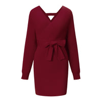 1 x RAW Customer Returns ZIYYOOHY Women s Elegant Knitted Dress Pullover Dress Tunic Dress V-Neck Long Sleeve Mini Dress with Belt 251-WRXL  - RRP €39.31