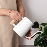 1 x RAW Customer Returns IMEEA 1L Indoor Watering Can Houseplants Modern Watering Can Smaller Potted Plants Stainless Steel Watering Can with Long Spout Comfortable Wooden Handle for Indoor Plants Plant Succulents Bonsai White  - RRP €28.99