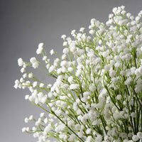 1 x RAW Customer Returns 10 Pieces Artificial Baby s Breath Artificial Flowers Gypsophila Bouquet Decorative Artificial Flowers for Home Wedding Party Decor Bouquet - RRP €22.18